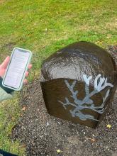  a student holding their cellphone in front of Chloë Bass' artwork