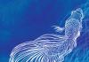 The cover of Feminist Formations, Volume 36, Issue 2, Summer 2024, features an abstract, white line drawing of a fish with long, flowing fins on a deep blue background. The title "Feminist Formations" is written at the top in light blue and white text. The issue number and date are noted at the bottom.